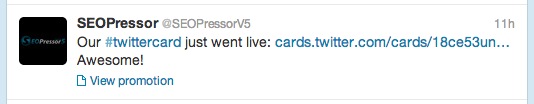 Twitter Card Lead Generation Example