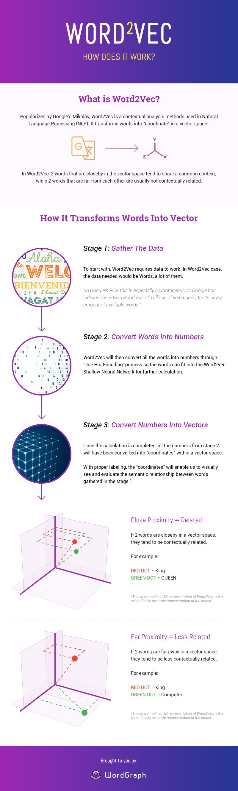 What is Word Vector Infographic